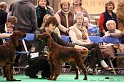 Crufts2011 150